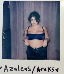 Araks: Gita Silk Underwire Bra - Aster