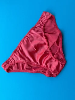 Araks: Gwyneth Silk Panty - Rose