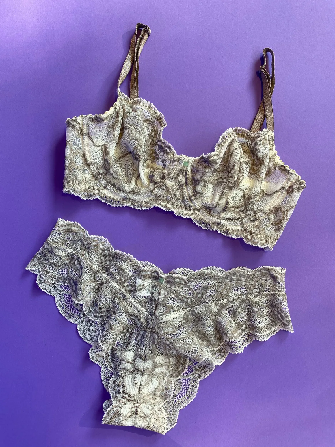 Clo: Fortuna Lace Cheeky Boyshort - White Storm