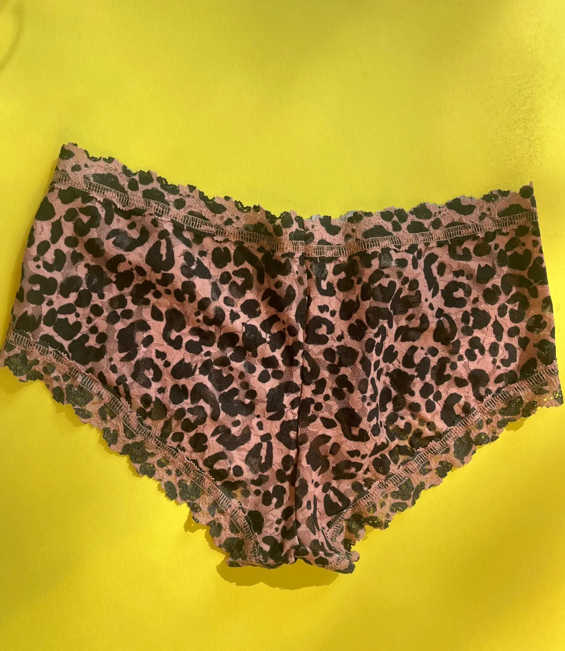 Hanky Panky: Lace Boyshort - Walk on the Wild Side