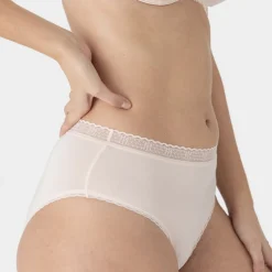 Maison Lejaby: La Petite High Waisted Brief - XL