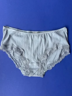 Only Hearts: Lace Trim Organic Cotton Hipster - Cascade