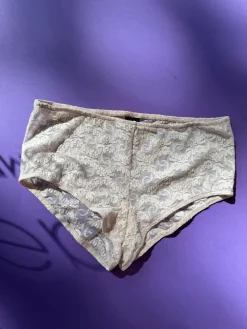 Only Hearts: Stretch Lace Iris Hipster Brief - Tinted