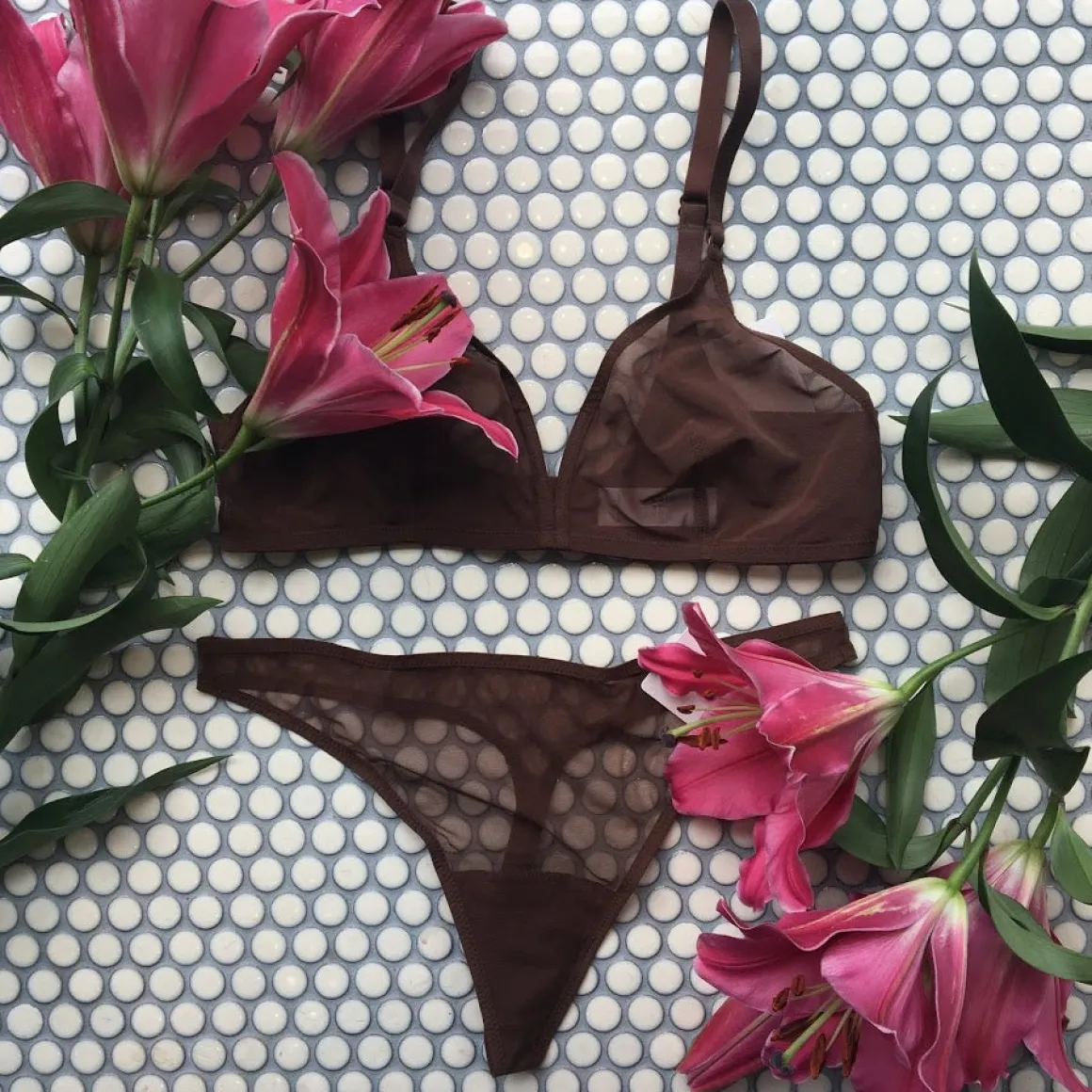 Ownbrown: Plunge V Wire Mesh Bra - Yemoya